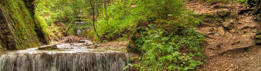 Ein wunderschöner Weg entlang des Hammerer Grabens ist der Weg zur Feldlahnalm