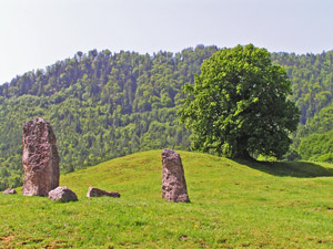 Am Lindenbichl in Kruchenhausen